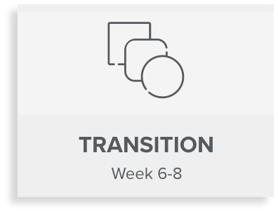 transition-week-6-8